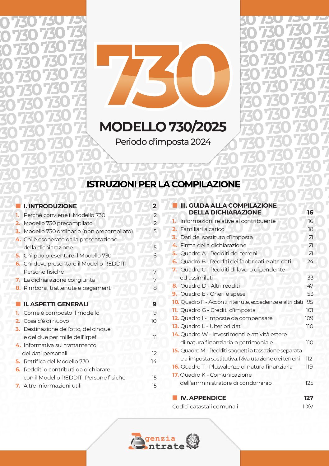 730_2025_istruzioni
